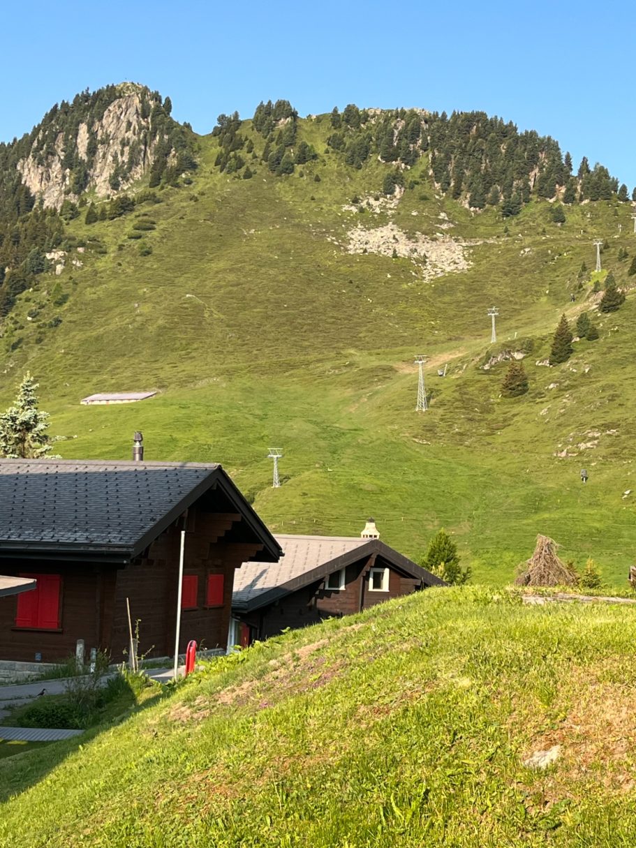 Blick zum Riederhorn